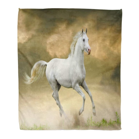 KDAGR Throw Blanket Warm Cozy Print Flannel Gray Run White Horse in Sunset Orange Ground Nature Comfortable Soft for Bed Sofa and Couch 58x80 Inches