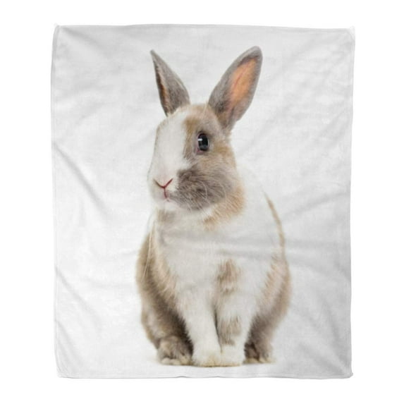 KDAGR Throw Blanket Warm Cozy Print Flannel Tan Grey Rabbit Months Old Sitting Against Alertness Comfortable Soft for Bed Sofa and Couch 50x60 Inches