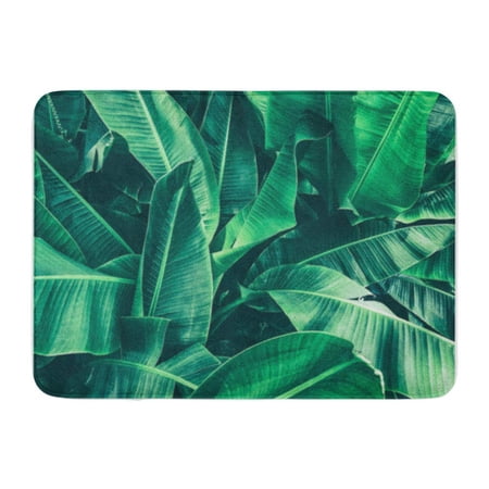 KDAGR Tropic Tropical Banana Leaf Large Palm Foliage Nature Dark Green Pattern Doormat Floor Rug Bath Mat 30x18 inch