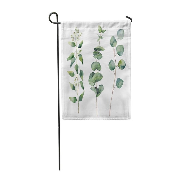 KDAGR Watercolor Eucalyptus Round Leaves and Branches Hand Baby Seeded Silver Dollar Garden Flag Decorative Flag House Banner 12x18 inch