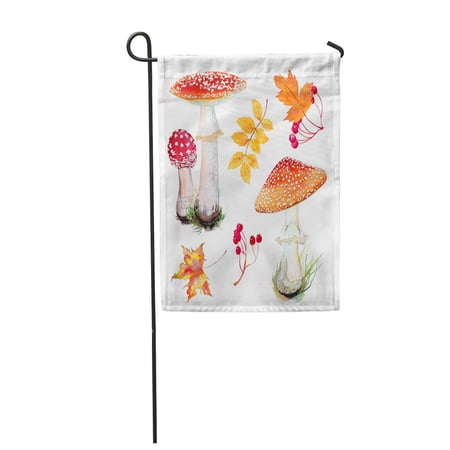 KDAGR Watercolor Set of Fly Agaric Mushroom in Grass and Autumn Garden Flag Decorative Flag House Banner 12x18 inch