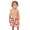 thumbnail image 1 of KDFJPTH Little Boys Swim Trunks Kids Cartoon Dinosaurs Floral Swim Shorts Quick Dry Bathing Suit Swimwear 2-8 Years, 1 of 3