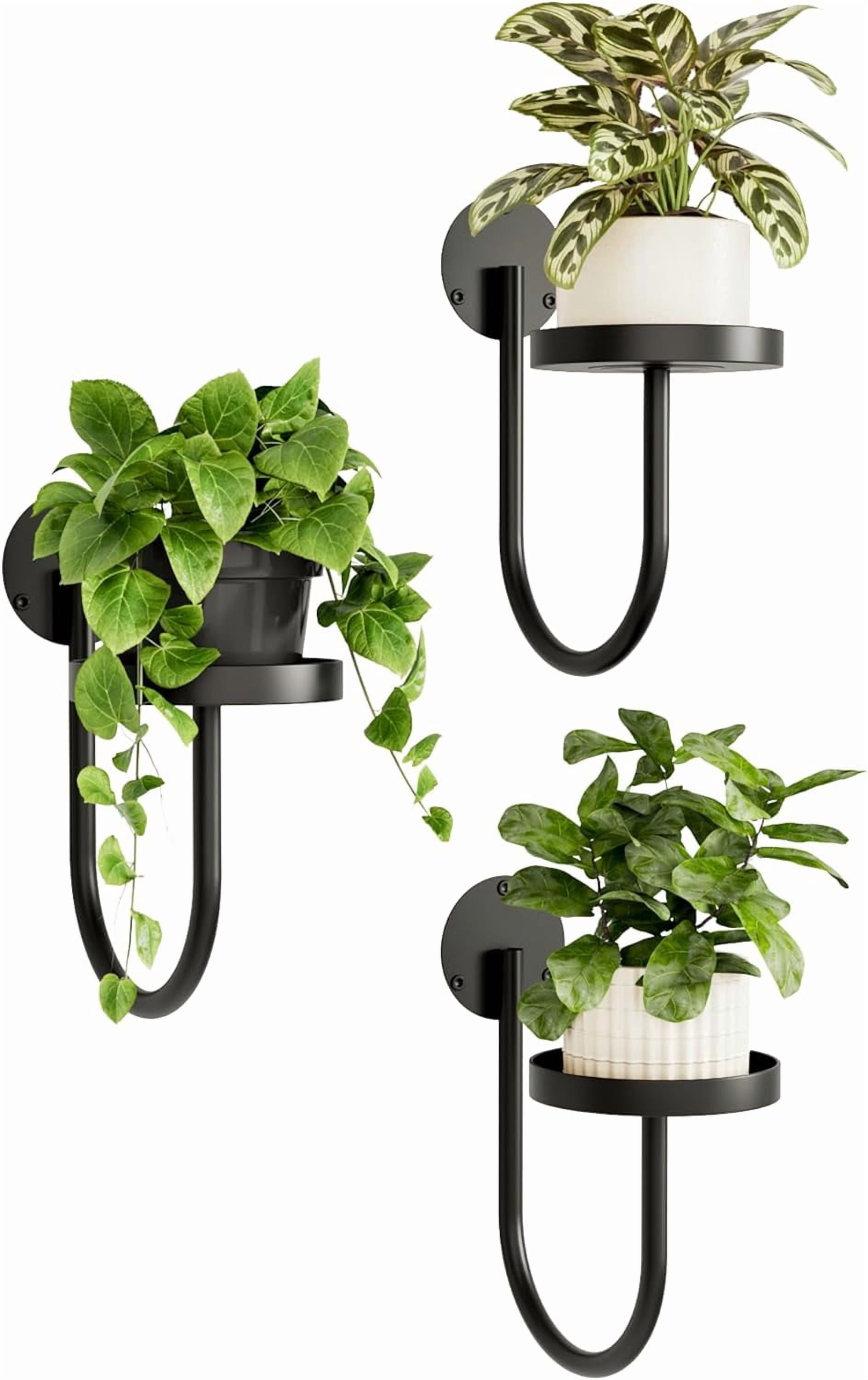 Plant Hangers in Indoor Planters - Walmart.com