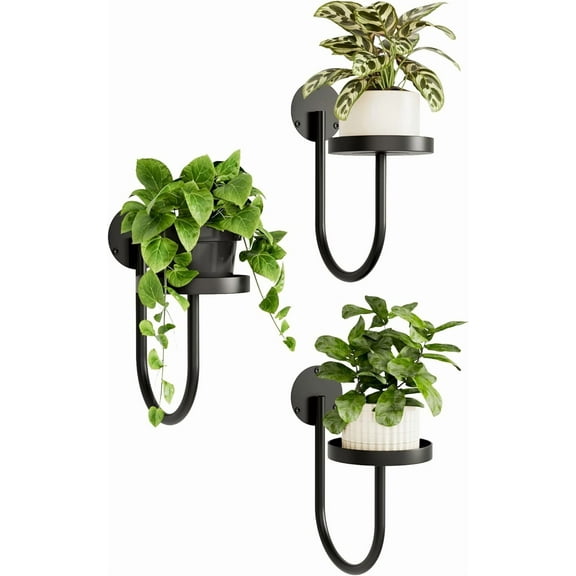 KEMEINILI Wall Plant Holder 3-Pack Wall Planters for Indoor Plants Plant Hanger Indoor Window Plant Shelves Hanging Plant Holder Window Plant Hanger Plant Deco（Black）
