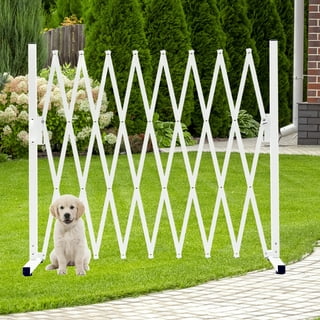 Dog fence walmart sales