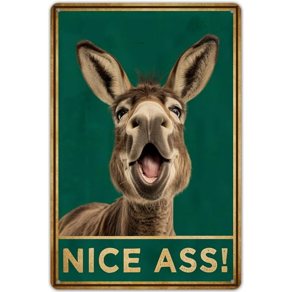 KENSILO Funny Donkey Bathroom Decor, Nice Ass Metal Tin Sign Wall Decor Farmhouse Sign for Toilet Restroom Washroom Decor Gifts 8x12 Inch