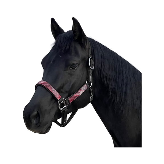 KENSINGTON PROTECTIVE PRODUCTS Premium Black/Merlot Nylon Halter, Medium (KHS-M-165)