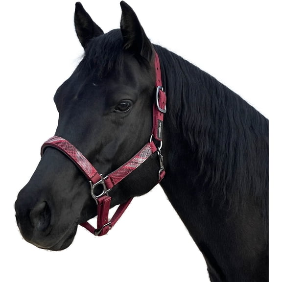 KENSINGTON PROTECTIVE PRODUCTS Premium Breakaway L Red/Merlot Halter (KHSB-L-165R)