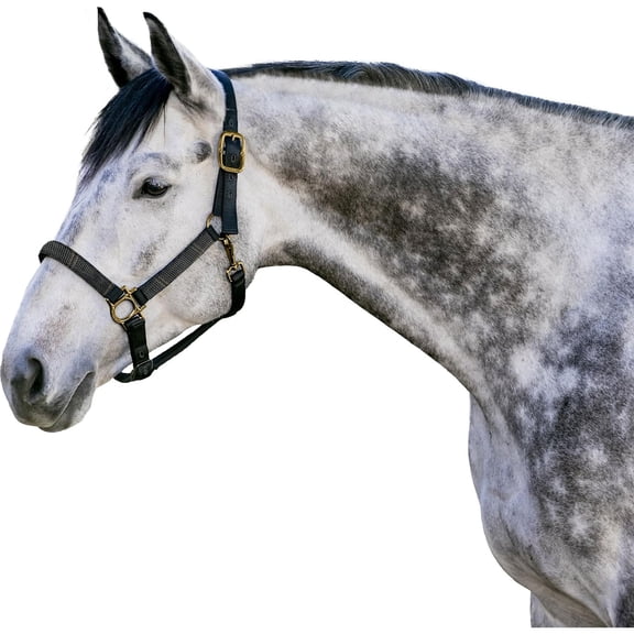KENSINGTON PROTECTIVE PRODUCTS Premium Reflective Black/Raven L Nylon Halter with Textliene (KHS-L-204)