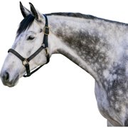 KENSINGTON PROTECTIVE PRODUCTS Premium Reflective Black/Raven M Nylon Halter with Textliene KHS-M-204