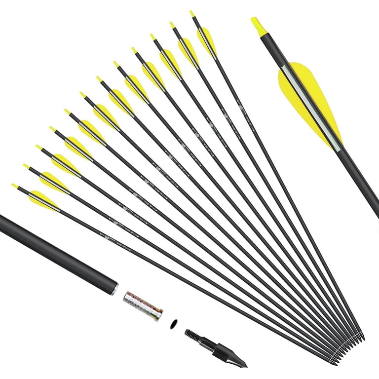 Fleche Arc 12x 30" Bogenschießen Carbonpfeile SP500 For Compound