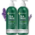 thumbnail image 1 of KESMEDIK Tea Tree Lavender Shampoo & Conditioner Set with Mint & Rosemary, Cleanses, Cools & Soothes Dry, Itchy Scalp, Sulfate & Paraben-Free, For All Hair Types, 16 fl oz Each, 1 of 7