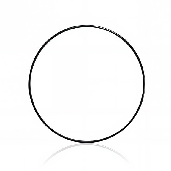 KEXWAN A-20210 O-Ring Compatible with Fluval FX4 FX5 FX6 Canister Filter Lid Top Cover, Aquarium Fish Tank External Filters O-Ring Replacement Part (1PCS)