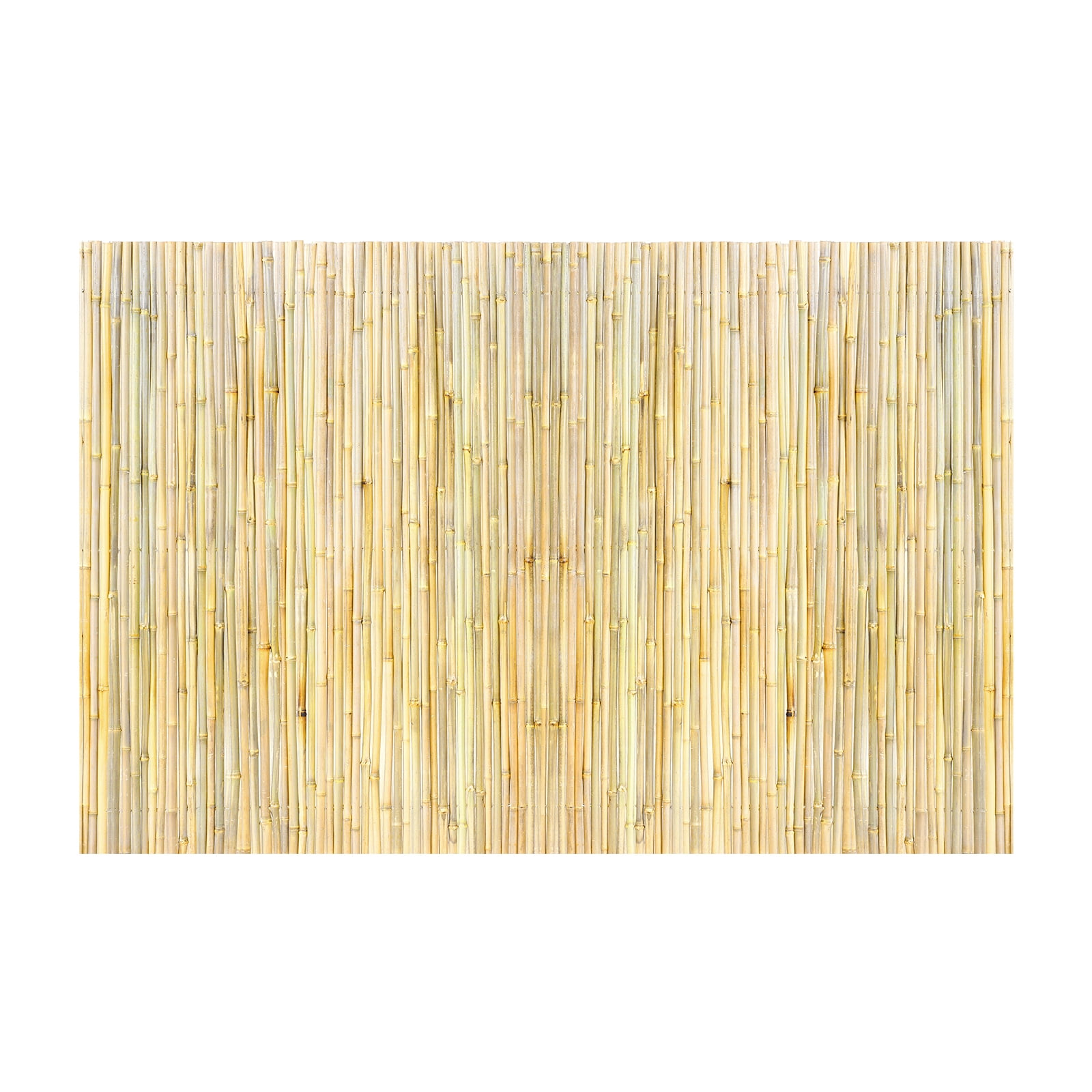 KFFKFF-Bamboo-Barrier- 