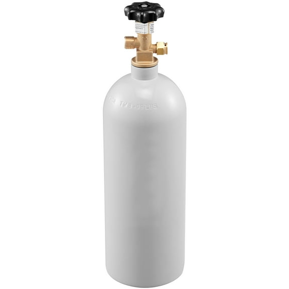 KFFKFF Durable CO2 Regulator, 0-60PSI, for Homebrew Draft Beer, Features Adjustable Control & Check Valve, Fits 5 LBS CO2 Tank