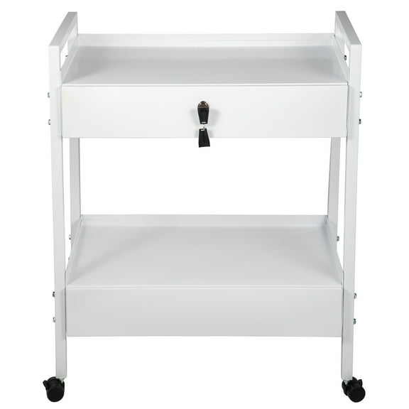 KFFKFF Laboratory Trolley, Dual-Level Stainless Utility Vehicle, Healthcare Trolley with Pair of Compartments, Mobile Laboratory Trolley with White Coating, Service Trolley with Rotating Wheels