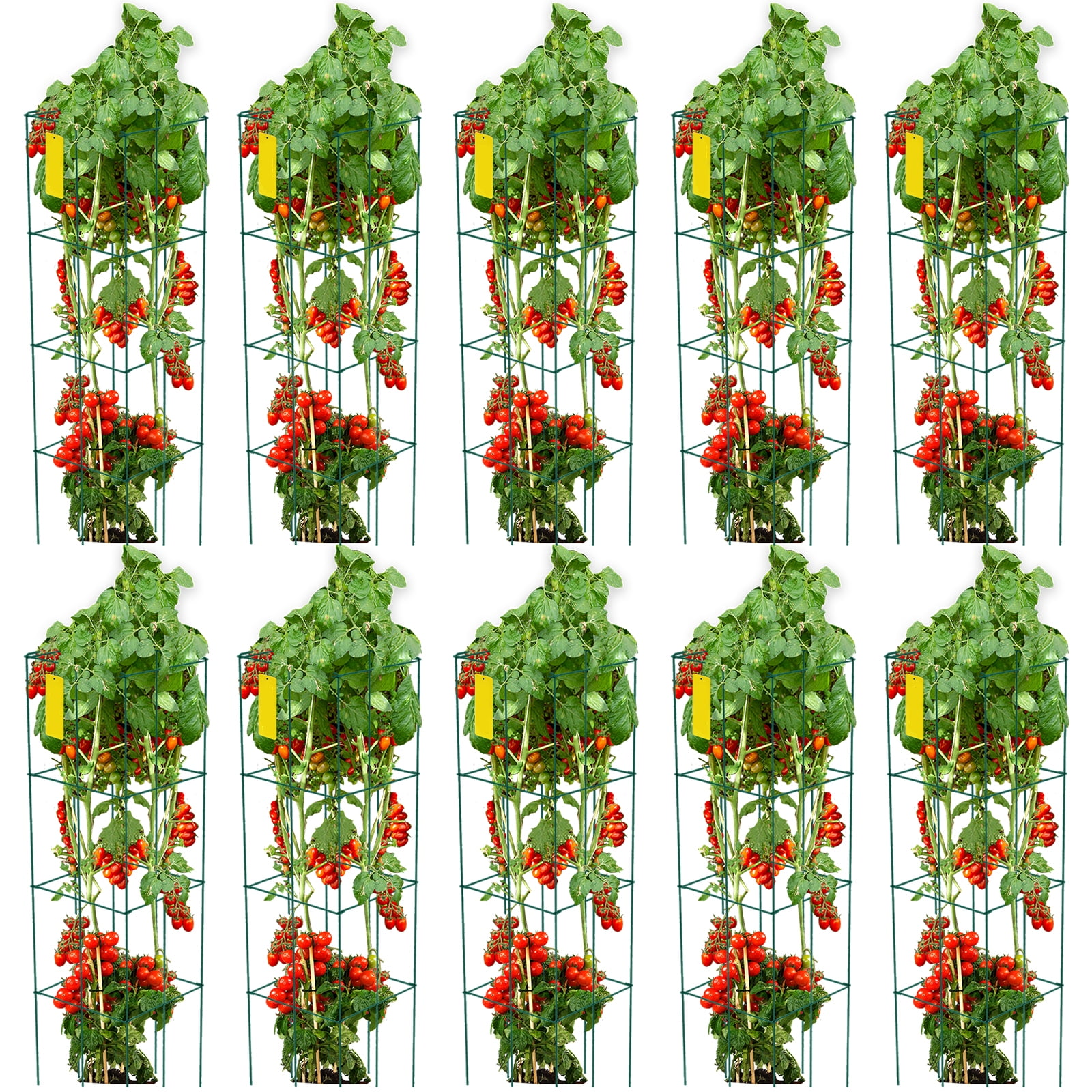 KFFKFF Tomato Cages, 11.8" x 11.8" x 46.1", 10 Packs Square Plant Support Cages, Silver PVC-coated Steel Tomato Towers for Climbing Vegetables, Plants, Flowers, Fruits