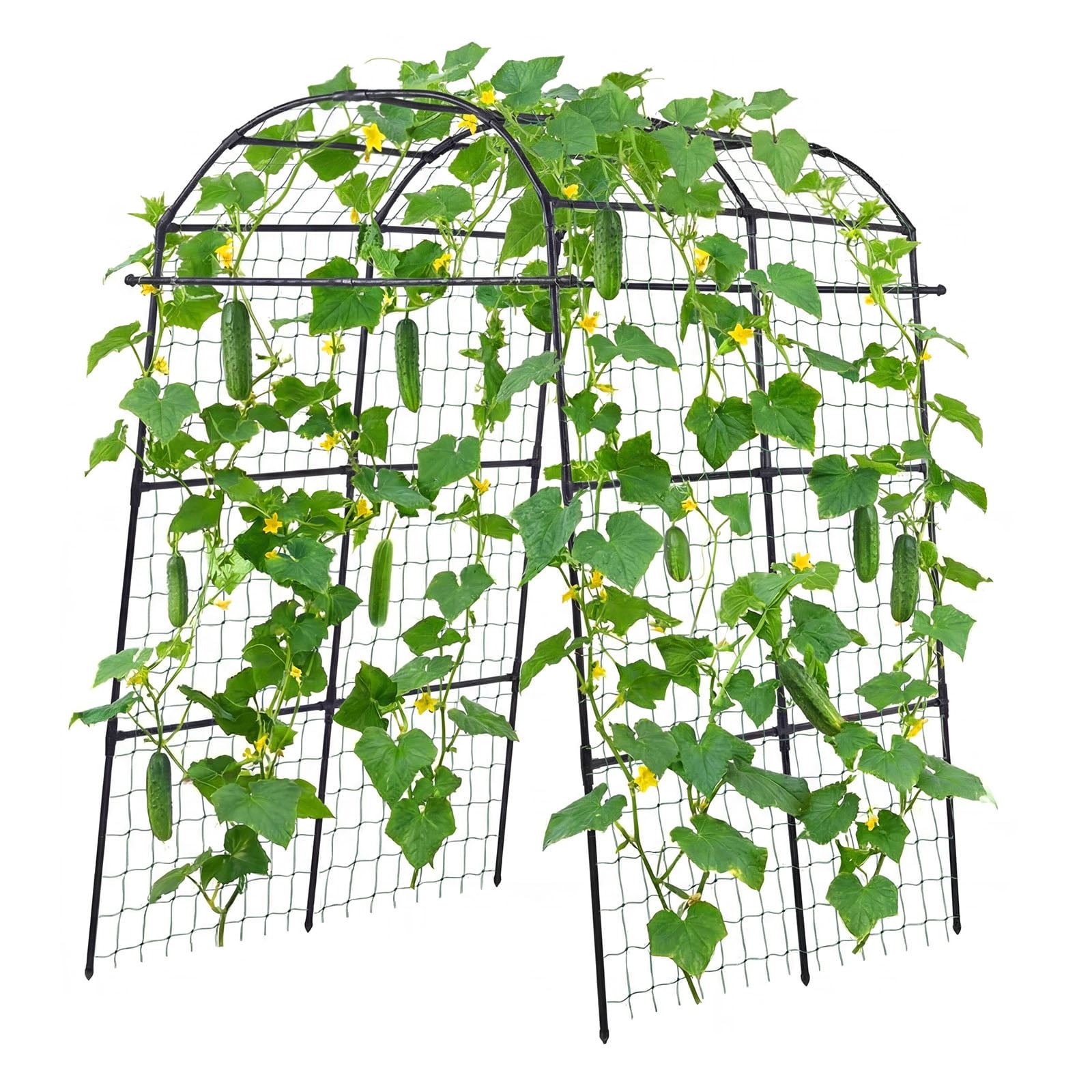 KFFKFF U-Shape Garden Trellis for Raised Beds, Metal Arch Plant Support for Outdoor Vines and Climbing Plants, Suitable for Peas, Beans, Zucchini, Tomatoes, Squash (70.87 x 44.09 x 82.99 in)