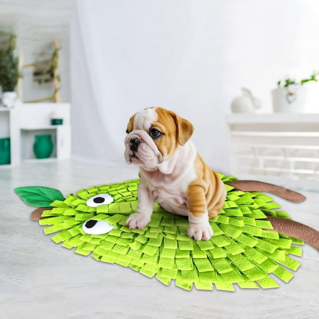 KFIWSZC Carpets Snuffle Mat For Dogs Fruit Shape Pet Sniffing Mat