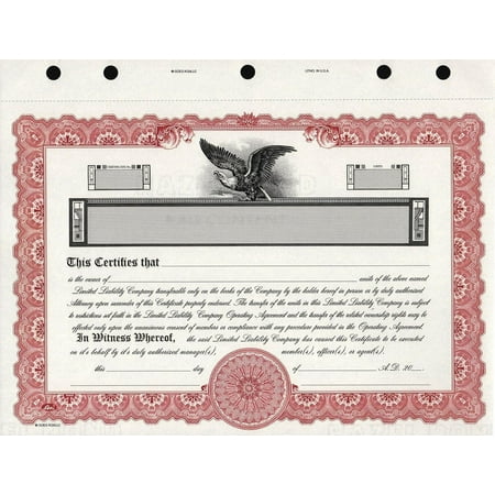 KG9 LLC Stock Certificate Maroon