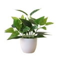 thumbnail image 1 of KGJQ Fresh Artificial Foliage Plants with White Vase Small Artificial Tree for Office Desktop Decor Fake Plants for Home and Office Indoor Decorations, 1 of 8