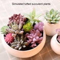thumbnail image 1 of KGJQ Mini Artificial Succulents Realistic Fake Small Cactus Plants Colorful Faux Flocked Unpotted Plants for Garden Flower Pot Kitchen Home Decor, 1 of 8