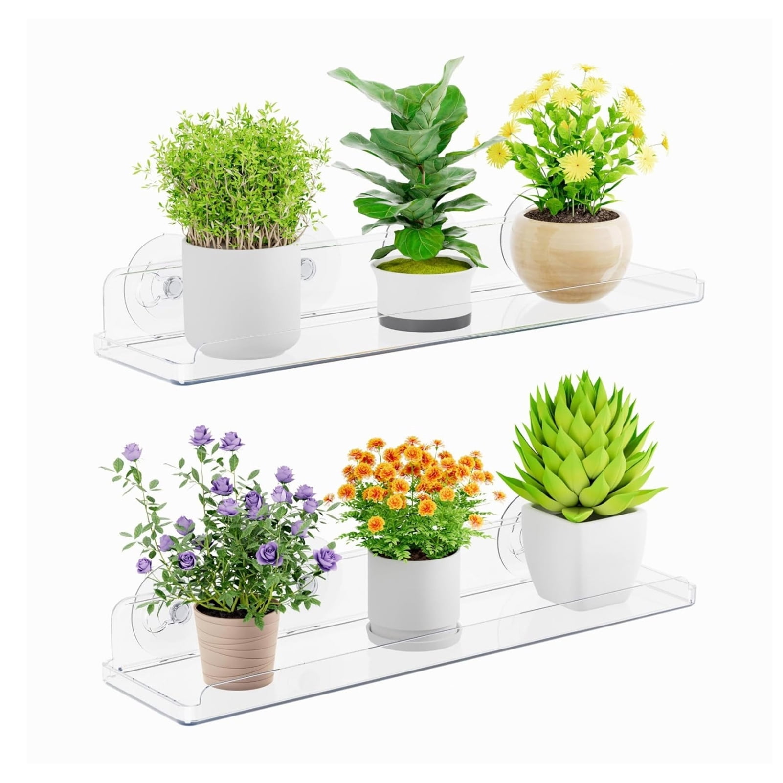 KGJQ Window Plant Shelf with Suction Cup And Protective Edge, Clear ...
