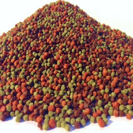 KGM-600 40% Spirulina, Color Red, Blackworm, AF Pellets (Apx 3mm-1/8")…12-lbs