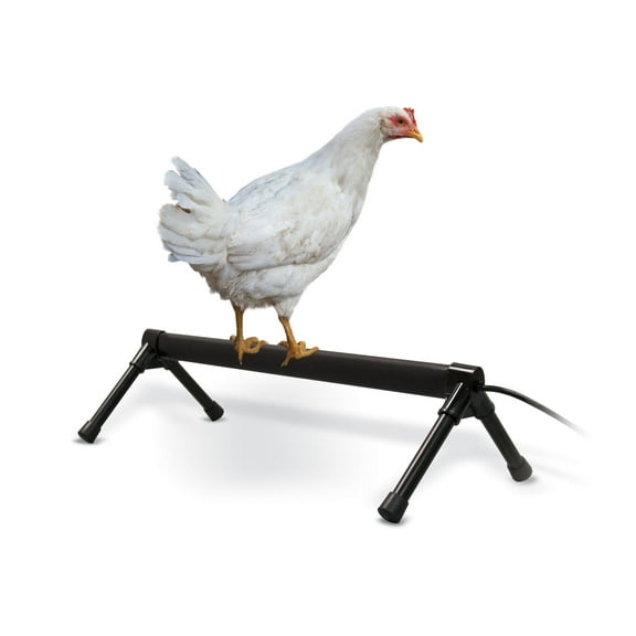 KH Pet Products Thermo-Chicken Perch Gray 26 x 14 x 8 40-Watt