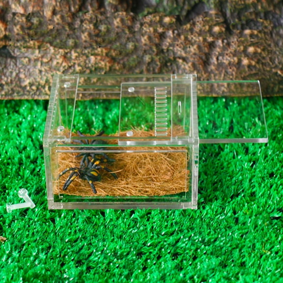 KHBUAB 1Pcs Acrylic Transparent Reptile Breeding Container For Turtle Snakes Spiders 10.5X8X6Cm