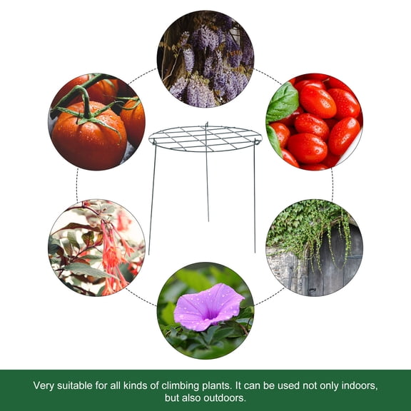 KHBUAB 2Pcs Pole Structure Plant Climbing Racks for Indoor Gardening Vine Support