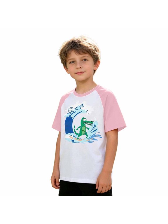 Boys Kids Funny Color Blocking T Shirts Graphic Printed Crew Neck Short Sleeve Comfy Tees,Size 3-13 Years Pink 160
