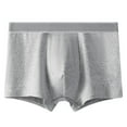 thumbnail image 1 of KHONTS,Men's Incontinence Underwear, Leak Proof Washable Reusable Cotton Boxer Brief, Heavy Flow Bladder Leak Grey XL, 1 of 5