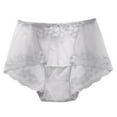 thumbnail image 1 of KHONTS Women's Mulberry Silk Brief Panties Lace Trim Breathable Comfortable Hipster Skin Underwear Light Gray XS, 1 of 3