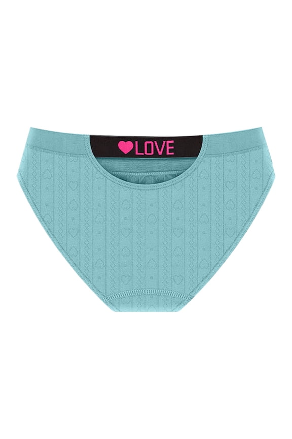 Women's Underwear Letter Printed Waistband Full Coverage Briefs Mid Waisted Breathable Underpants Blue XL