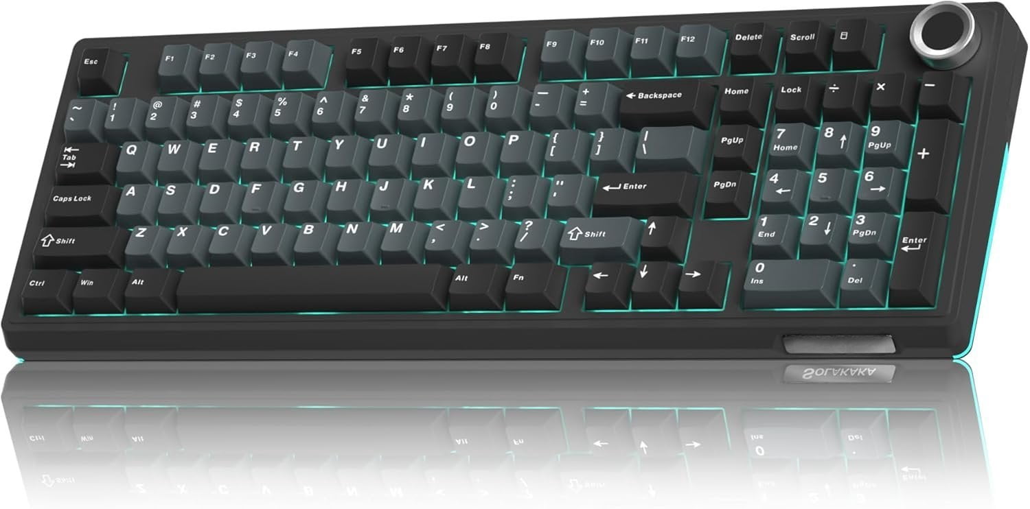 KI99 Pro Mechanical Keyboard with Quiet , Hot Swappable Pre-Lubed Switches with RGB Backlit, Gasket Structure Gaming Keyboard (BlackBlue, Silent )