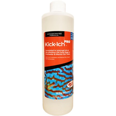 KICK-ICH PRO 16 oz. Round