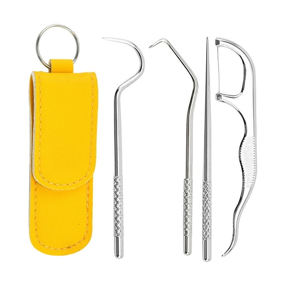 KIHOUT Stainless Steel Toothpicks Kit, Premium Teeth Cleaning Tools, Reusable Tooth Picks Set, Pocket Keychain Portable Metal Toothpicks Holder for Travel
