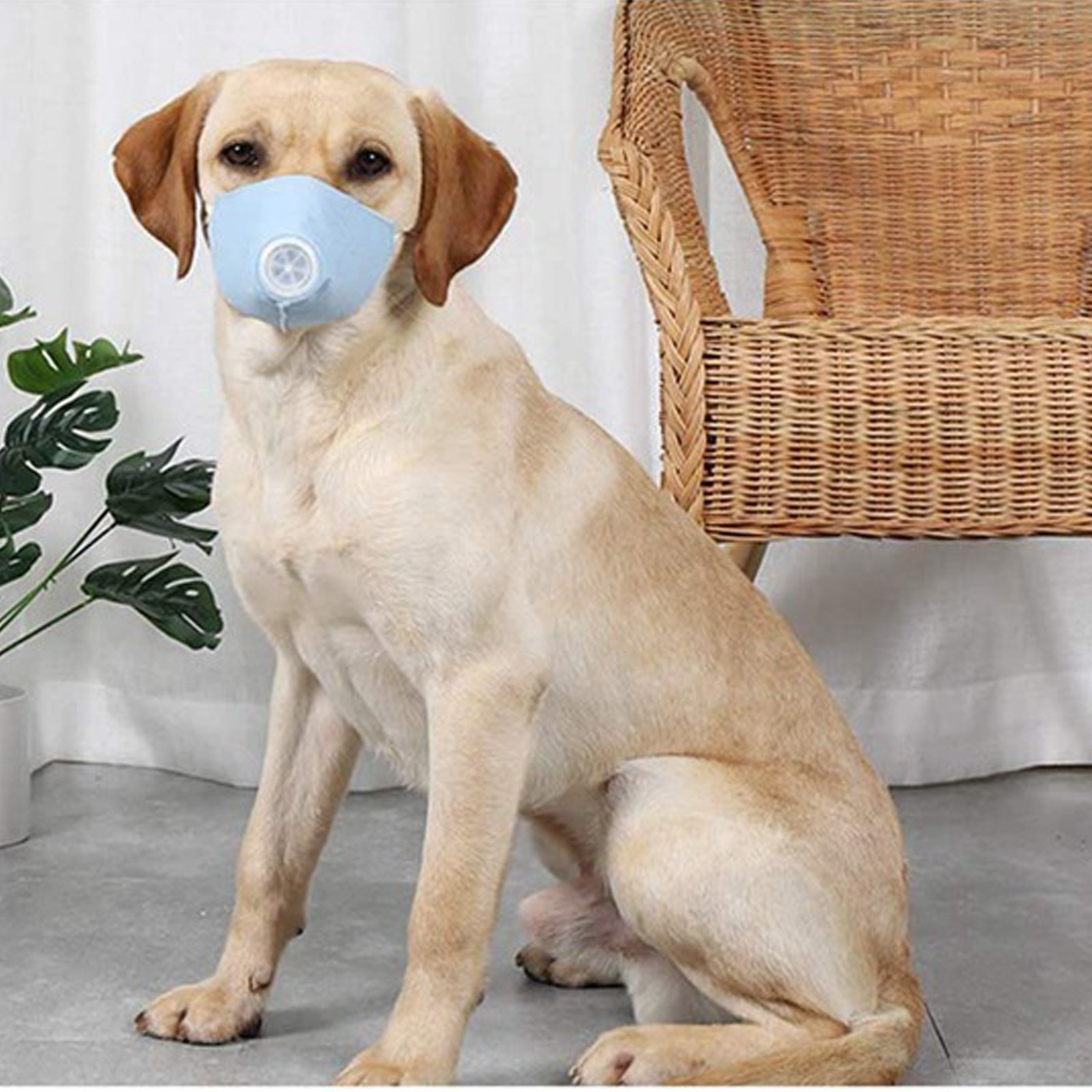 KIHOUT Promotion Adjust Dog Respirator Muzzle Breathable Dog Protective