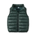 thumbnail image 1 of KIJBLAE Clothing Toddler Warm Caot for Winter Kids Boys Girls Puffer Vest Sleeveless Full Zip Outerwear(Army Green,2 Years ), 1 of 7