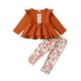 thumbnail image 1 of KIMI BEAR Newborn Baby Girls Outfits 6-9 Months Winter Clothes Sets Ruffle Long Sleeves Pullover Top Floral Pants Set 2pcs Clothing Brown, 1 of 9