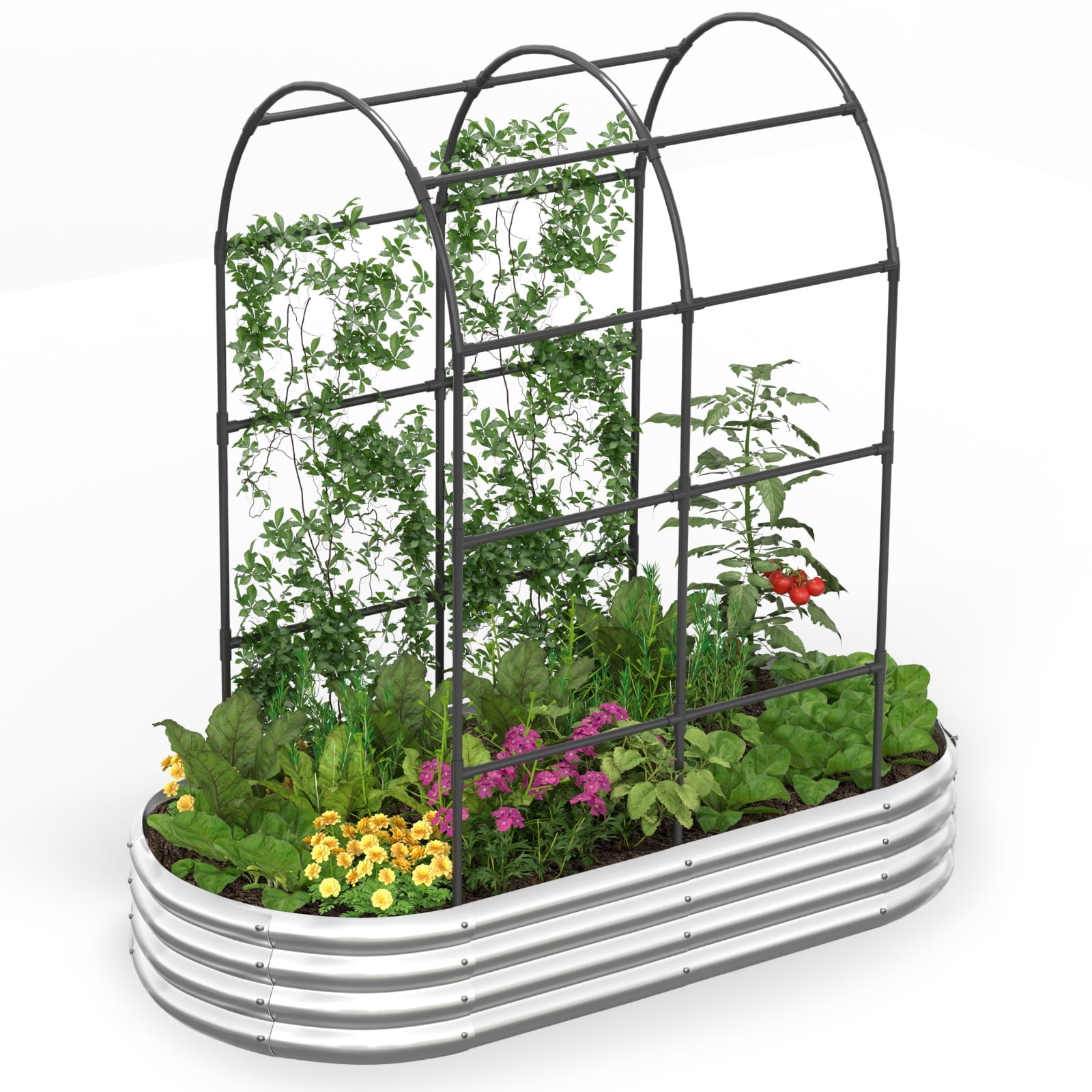 KING BIRD 6x3x1 ft Raised Garden Bed with Arched Trellis Galvanized Steel Metal Planter Garden Box Outdoor for Gardening Climbing Vegetables Flowers Silver