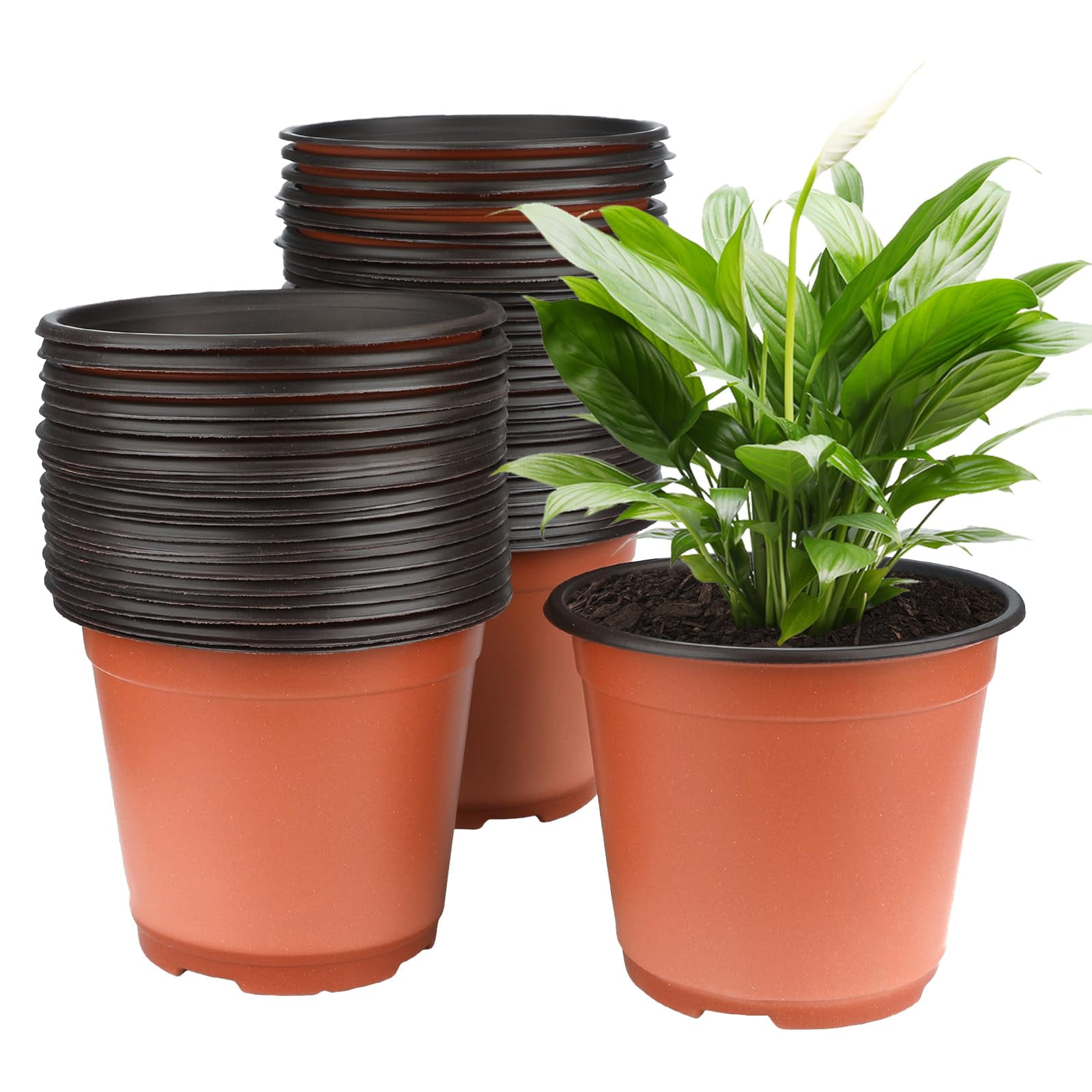 KINGLAKE GARDEN Plastic Plants OIF8 Nursery Pots,6 Inch 120 PCS Seed