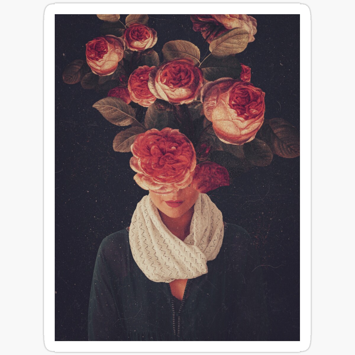 KIRA The Smile Of Roses Glossy Sticker Birthday Gifts - Decorative ...