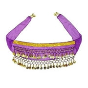 KITPIPI Corgi Dog Costume for Dogs,Dog Waist Chain Butt Curtain ClothesBelly Dance Style with Sequin,Passionate Puppy Shaking Hip Dance Hip Scarf Decoration for Halloween Day Pet Costumes F0Q9