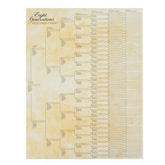 KITPIPIVO Family Tree Charts to Fill In, Eight Generation Genealogy Poster, 17x22" CS