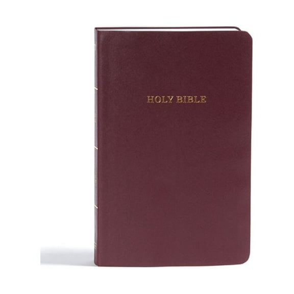 KJV Gift and Award Bible, Burgundy Imitation Leather, (Hardcover)