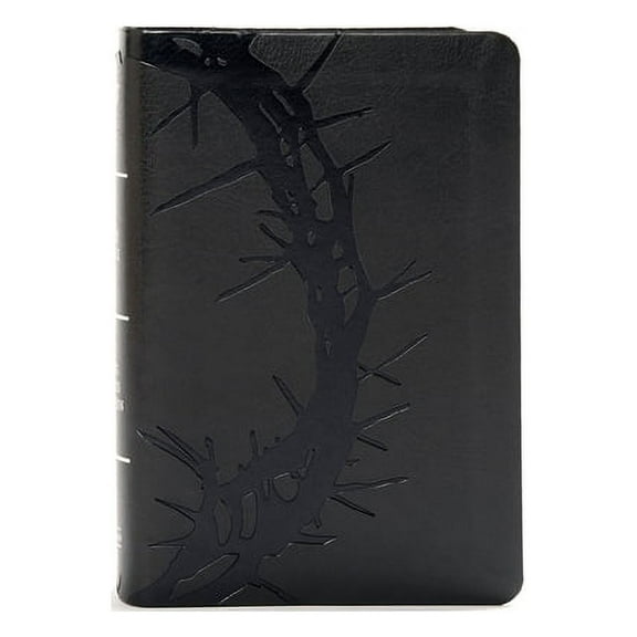KJV Large Print Compact Reference Bible, Charcoal LeatherTouch