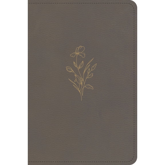 KJV Large Print Compact Reference Bible, Clay Leathertouch, (Hardcover)