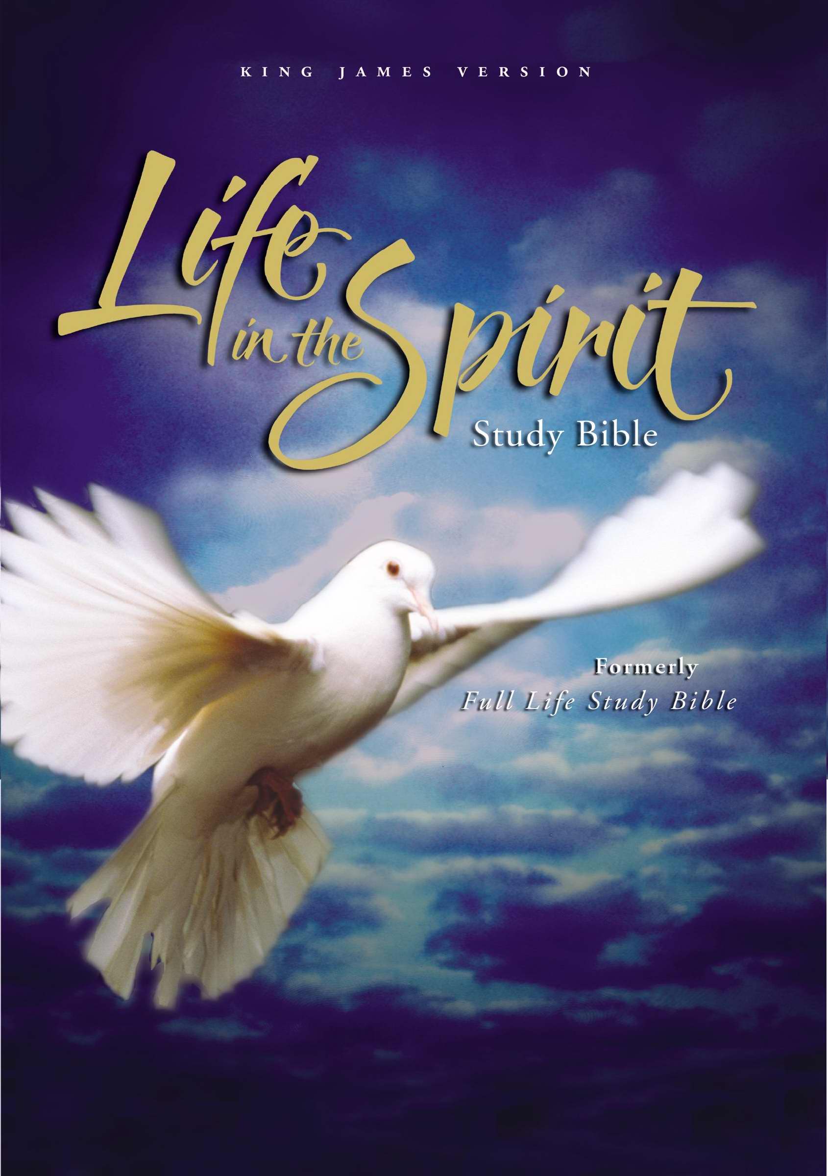 KJV Life In The Spirit Study Bible-Black Bonded Leather - Walmart.com